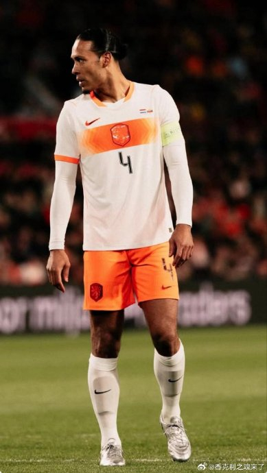 哈兰德与范迪克拍立得合影引热议